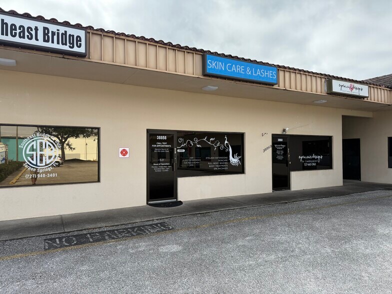 38858 US Highway 19 N, Tarpon Springs, FL à louer - Photo principale - Image 1 de 4