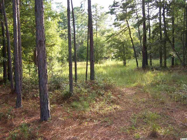 S Island Rd, Georgetown, SC for sale - Primary Photo - Image 1 of 1