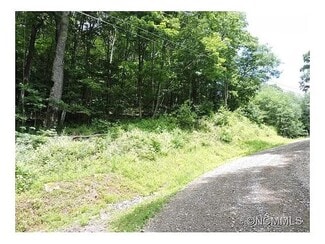 More details for 329 Hamlin Lane, Mars Hill, NC - Land for Sale