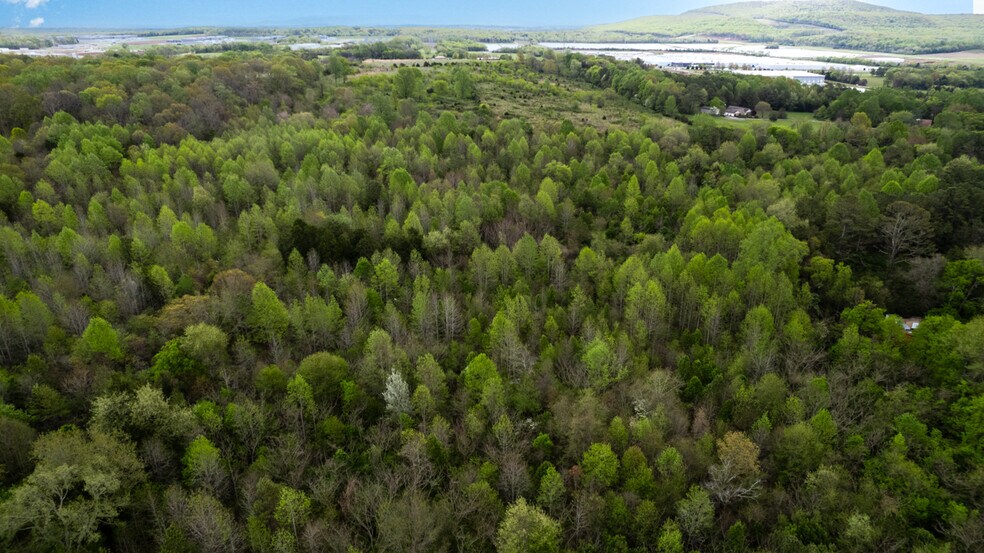Pulaski Pike, Toney, AL à vendre - Aérien - Image 2 de 10