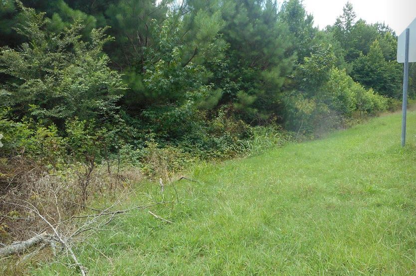 8034 US 11, Springville, AL à vendre - Photo principale - Image 1 de 2