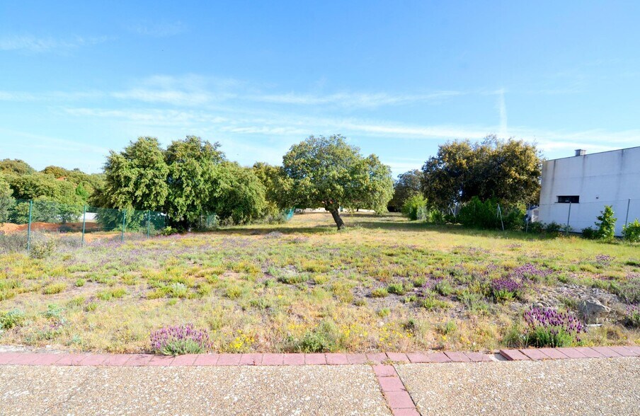 Calle Manuel Herrera, 37, Carrascal de Barregas, Salamanca for sale - Building Photo - Image 2 of 12