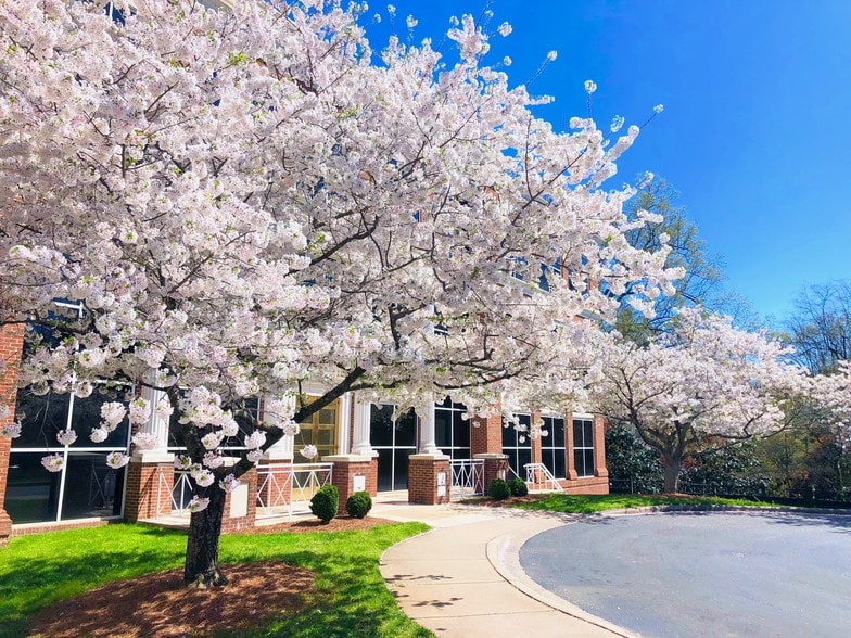 200 Providence Rd, Charlotte, NC à louer - Photo du bâtiment - Image 3 de 5