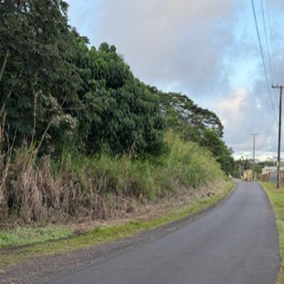 3-1-5-002-002, Pahoa, HI for sale - Other - Image 2 of 3