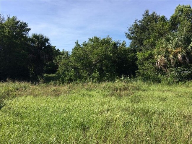 More details for Lakeshore Breeze Ct, Eustis, FL - Land for Sale