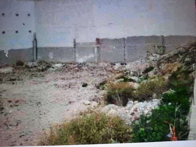 Land in Novelda, Alicante for sale Construction Photo- Image 1 of 4