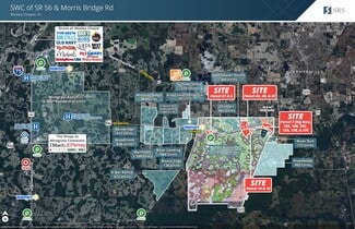 More details for 15810 Morris Bridge Rd, Thonotosassa, FL - Land for Lease