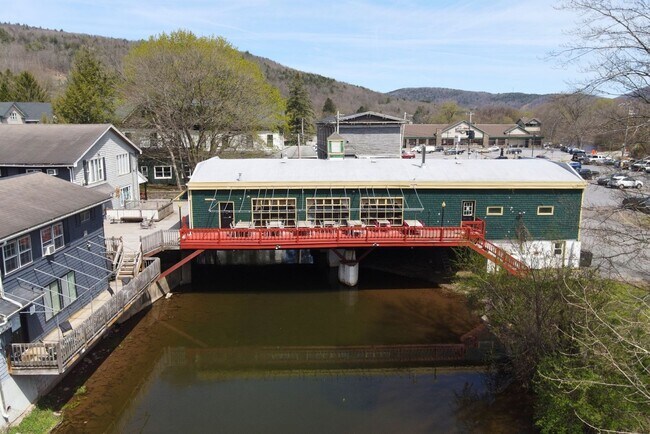 Plus de détails pour 746 Main St, Margaretville, NY - Commerce de détail à vendre