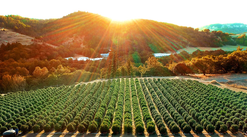 220 Wilder Ridge rd, Honeydew, CA for sale - Building Photo - Image 3 of 41