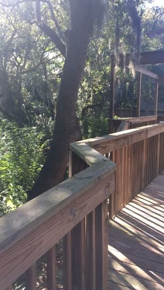 2454 N McMullen Booth Rd, Clearwater, FL à louer - Vidéo sur l’inscription commerciale - Image 2 de 28