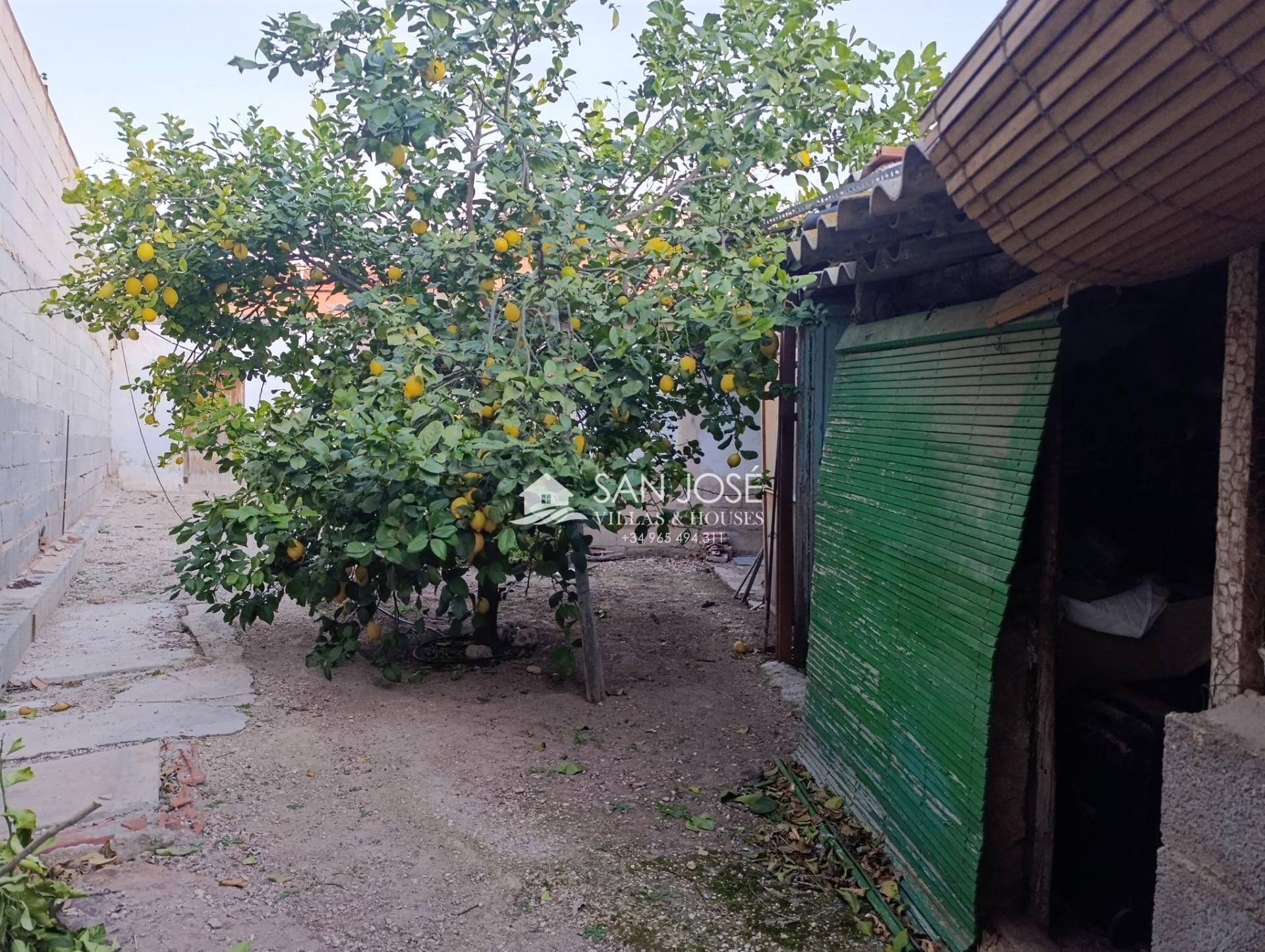 Carrer Monforte del Cid, 50, Novelda, Alicante for sale Building Photo- Image 1 of 12