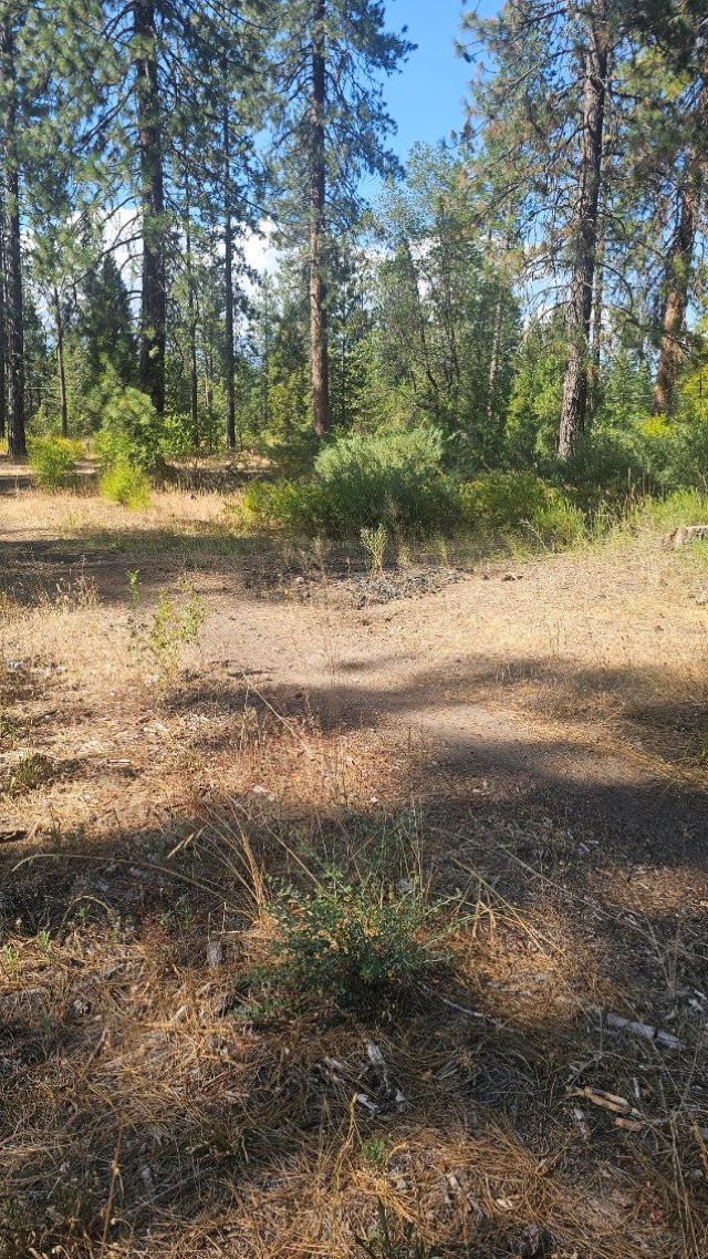 0 Truck Village Dr, Mount Shasta, CA for sale Site Plan- Image 1 of 4