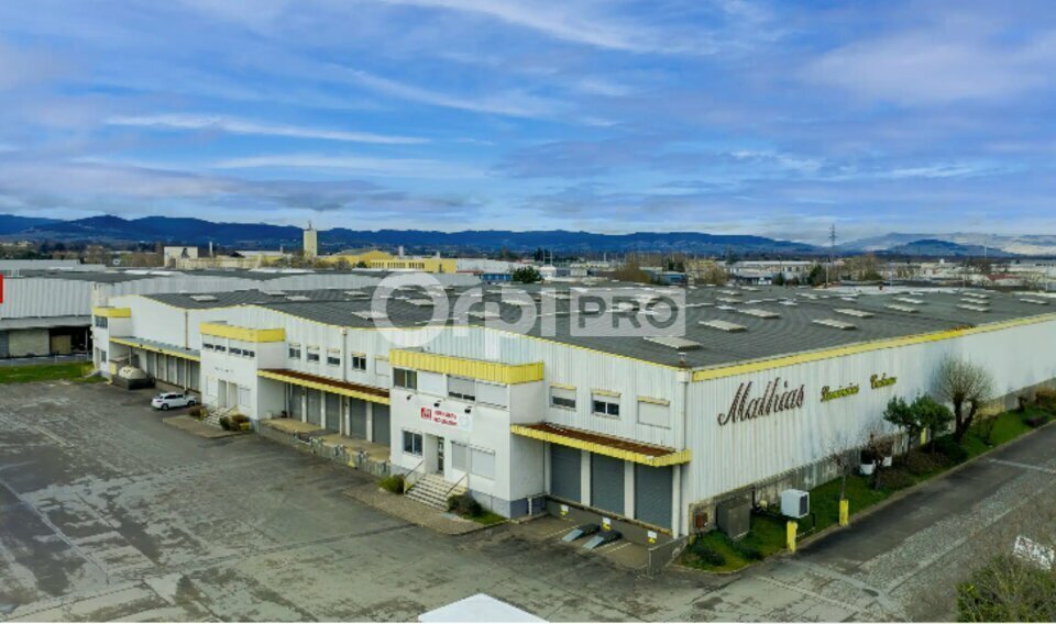 Industriel dans Arnas à vendre - Photo du bâtiment - Image 2 de 3