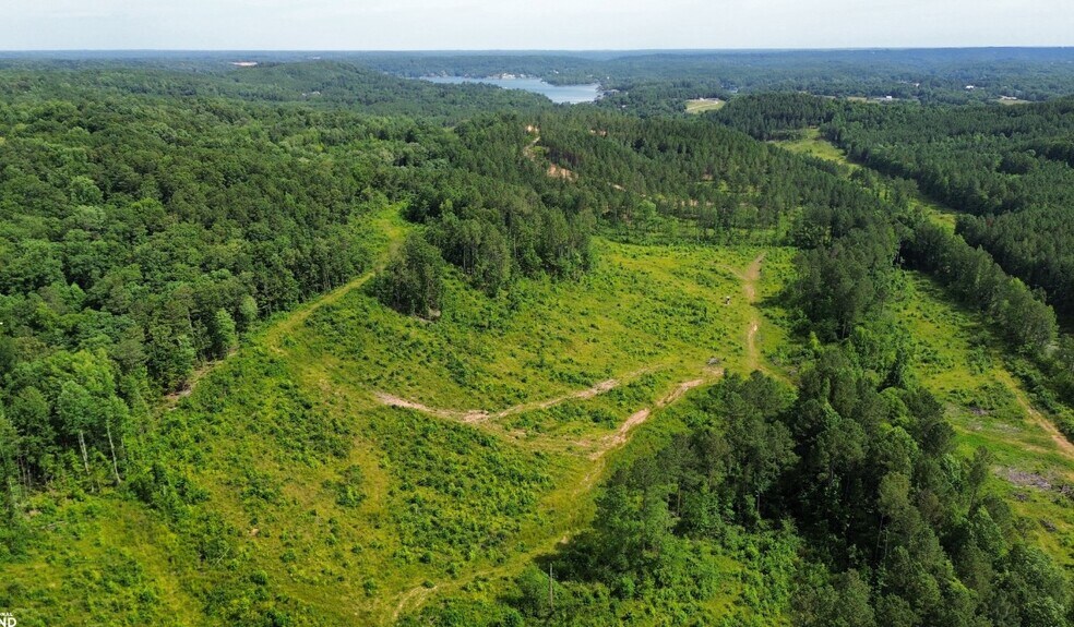 0 County Road 110, Bremen, AL for sale - Aerial - Image 3 of 16