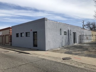 Plus de détails pour 1551 Mannheim Rd, Stone Park, IL - Industriel à vendre