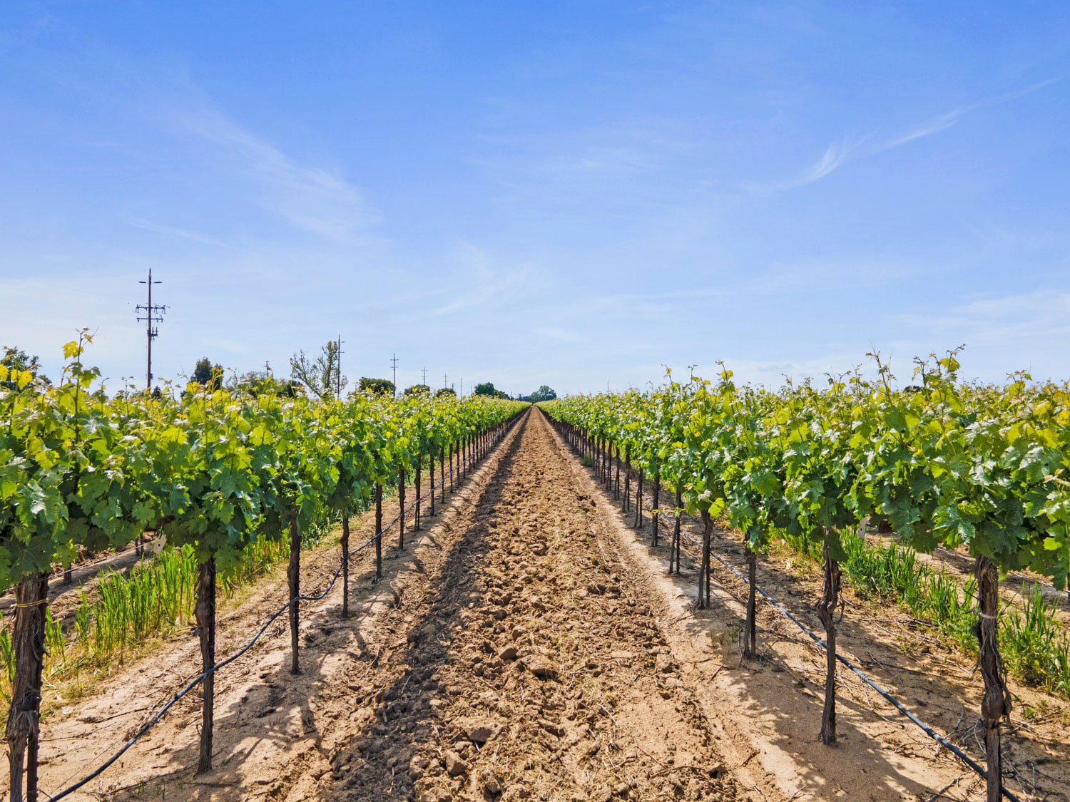 3463 Peltier Rd., Acampo, CA à vendre Autre- Image 1 de 21