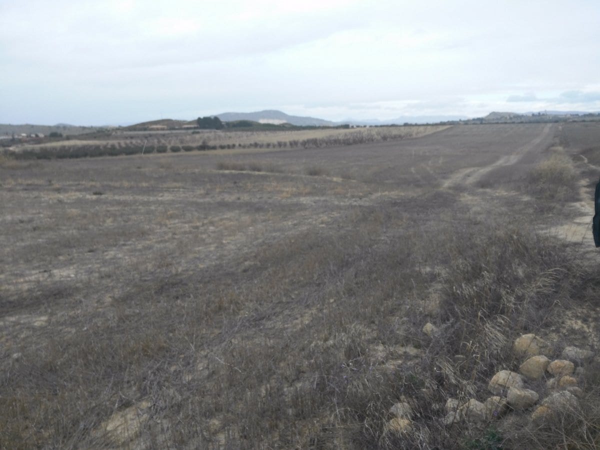 Terrain dans Calasparra, Murcia à vendre Plan de site- Image 1 de 7