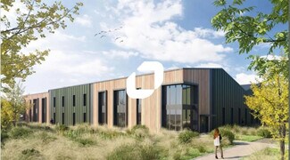 Plus de détails pour Flex à vendre