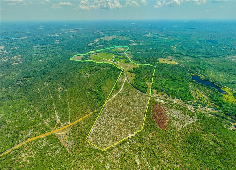 Turnage rd, Patrick, SC à vendre - Aérien - Image 2 de 6