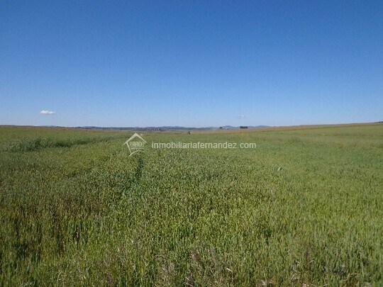 Land in Sierra de Fuentes, Cáceres for sale - Aerial - Image 1 of 3