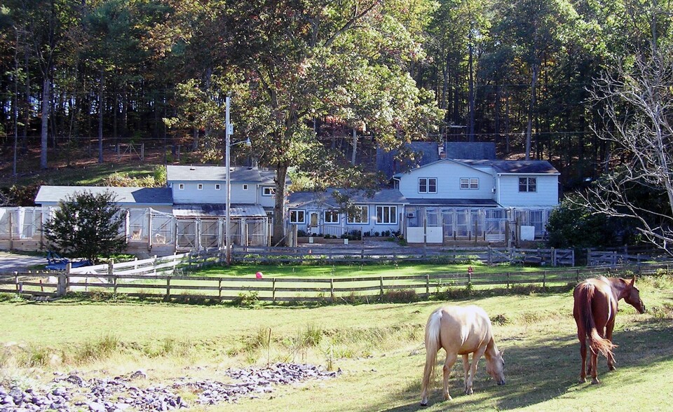 20 Victory Ln, Castleton, VA à vendre - Photo du bâtiment - Image 1 de 1