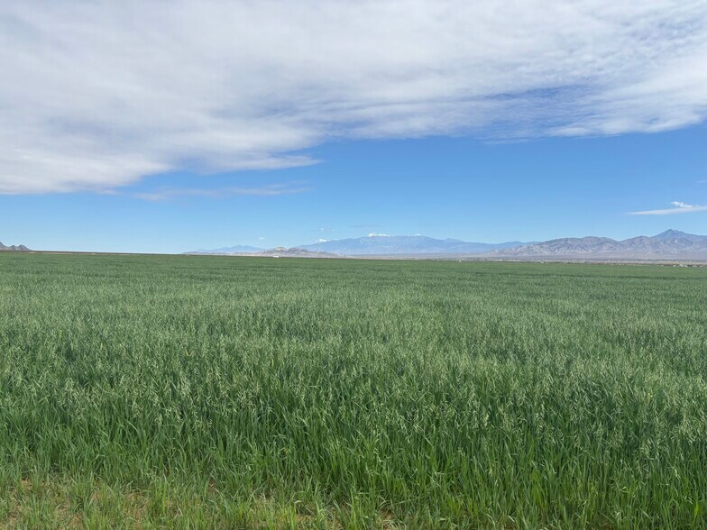 89370 Two Hawk Rd, Baker, CA à vendre - Autre - Image 3 de 4