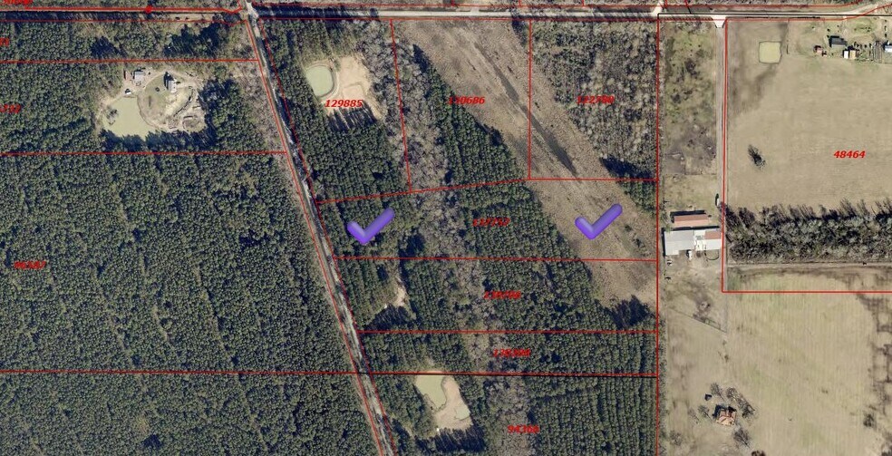 0 Pelican Rd, Shepherd, TX à vendre - Photo du bâtiment - Image 3 de 7