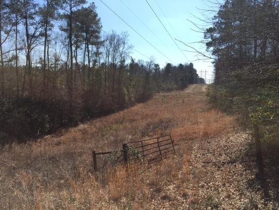 Rails To Trl, Sumrall, MS for sale - Primary Photo - Image 2 of 11