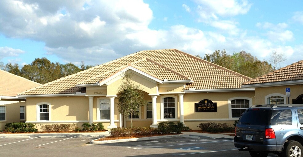 17521-17523 N Dale Mabry Hwy, Lutz, FL à louer - Photo du bâtiment - Image 1 de 12