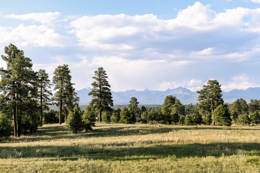 Highway 160 Land (4 way lighted intersections), Pagosa Springs, CO à vendre - Autre - Image 3 de 16