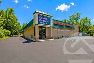 More details for 201 Medical Center Dr, Carleton, MI - Retail for Lease