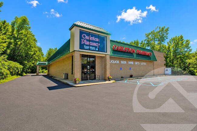 More details for 201 Medical Center Dr, Carleton, MI - Retail for Sale