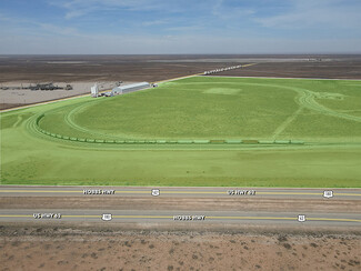 More details for 44 Buffalo Grass Rd, Carlsbad, NM - Land for Sale