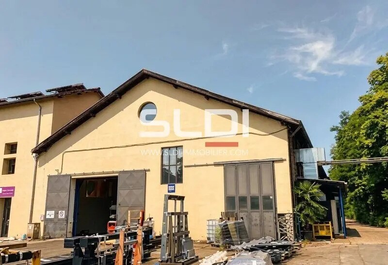 Flex in Neuville-sur-Saône for lease Building Photo- Image 1 of 4