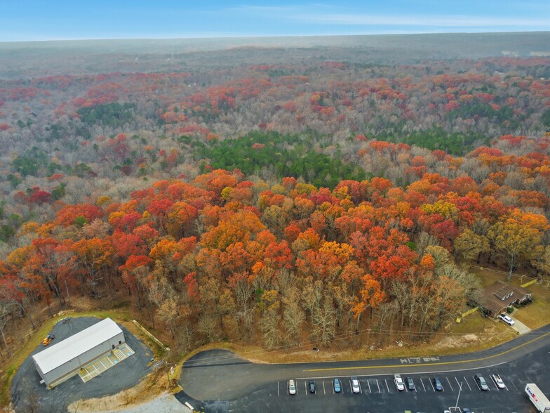 600 Hogan Pond ln, Ball Ground, GA à vendre - Aérien - Image 3 de 8