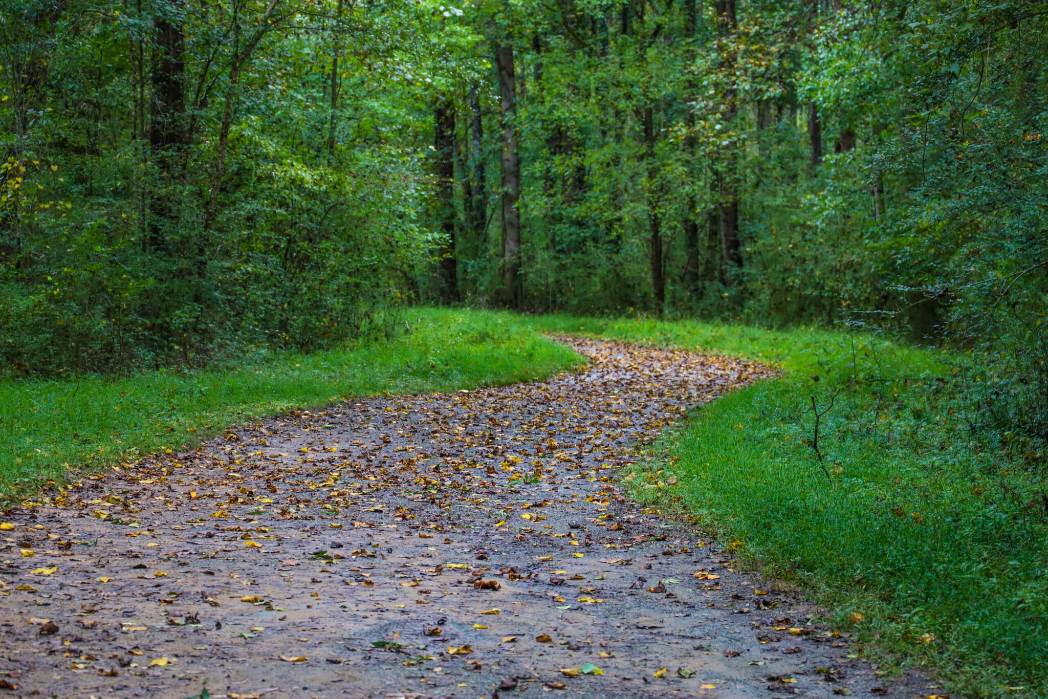 13703 Timberline Rd, Highland, IL for sale Primary Photo- Image 1 of 2