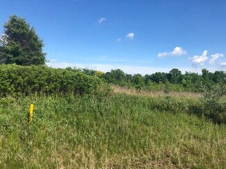 Plus de détails pour Wadhams, Saint Clair Township, MI - Terrain à vendre