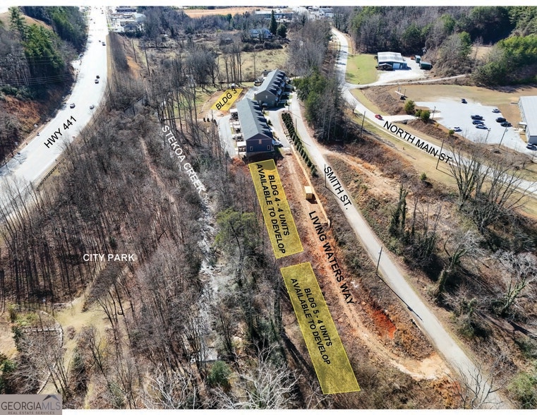 0 Living Waters Way, Clayton, GA for sale - Primary Photo - Image 1 of 10