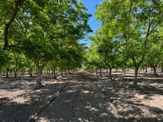 More details for E. Annadale Ave. W. of S. Riverbend Ave., Sanger, CA - Land for Sale