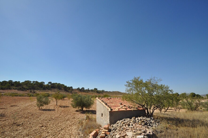 Terrain dans Jumilla, Murcia à vendre - Photo principale - Image 3 de 13