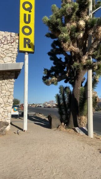 Plus de détails pour 29 Palms Highway, Yucca Valley, CA - Terrain à vendre
