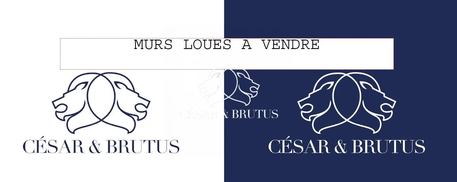 Commerce de détail dans Lyon à vendre Photo du bâtiment- Image 1 de 2