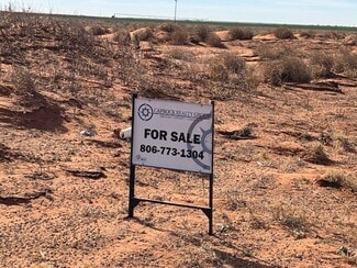 More details for County Road 225, Plains, TX - Land for Sale