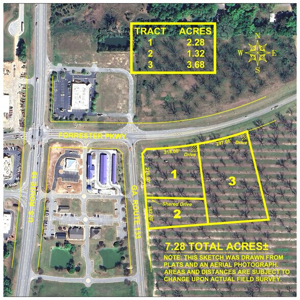 Forrester Parkway Hwy, Leesburg, GA à vendre - Photo du bâtiment - Image 2 de 24