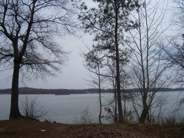 Bull Durham Rd, Springville, TN à vendre Photo principale- Image 1 de 2