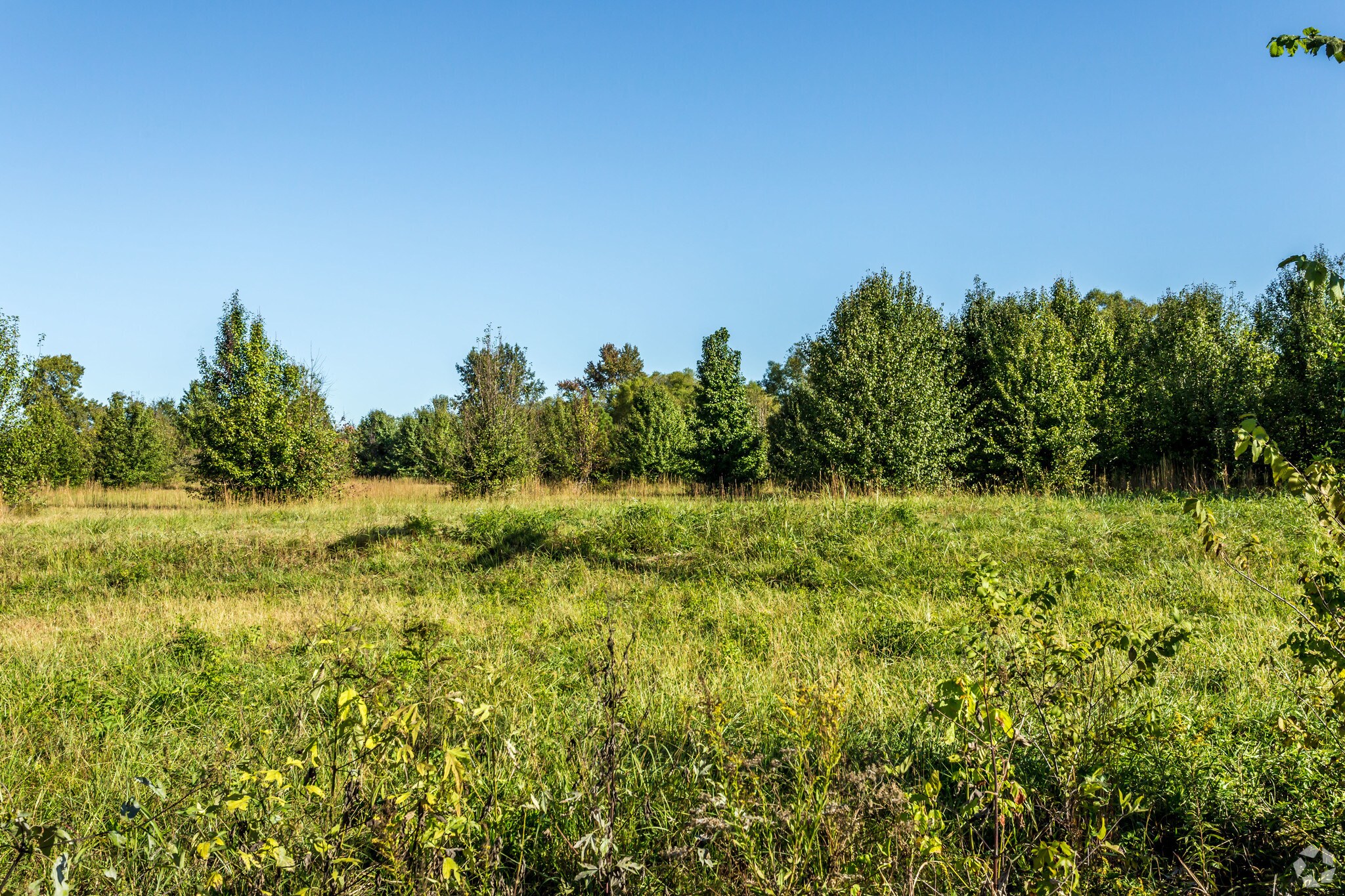 Hwy 64, Oakland, TN for sale Primary Photo- Image 1 of 4