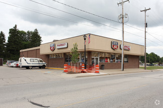 More details for 53 S Maple St, Grant, MI - Retail for Sale