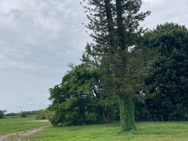 2444 State Road 15 (US 441) St, Belle Glade, FL for sale - Other - Image 2 of 7