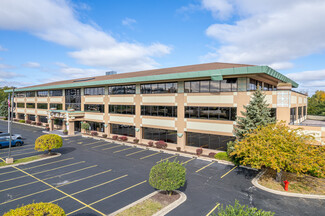 More details for 1000 Royce Blvd, Oakbrook Terrace, IL - Office for Lease