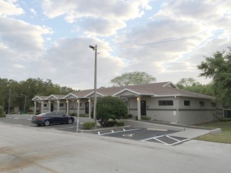 Plus de détails pour 31081-31089 US Hwy 19 N, Palm Harbor, FL - Bureau à louer